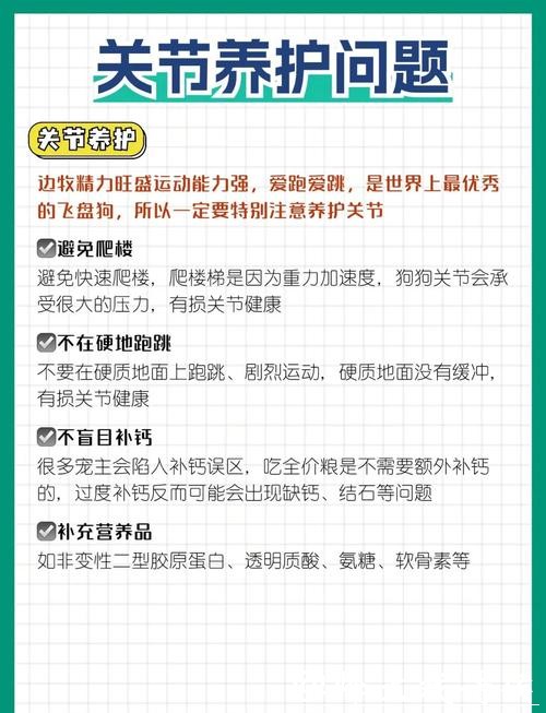 世界杯投注入口详细指南，让你轻松上手